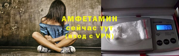 прущие грибы Медвежьегорск