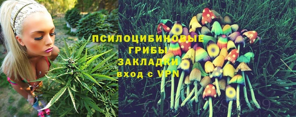 альфа пвп Медногорск