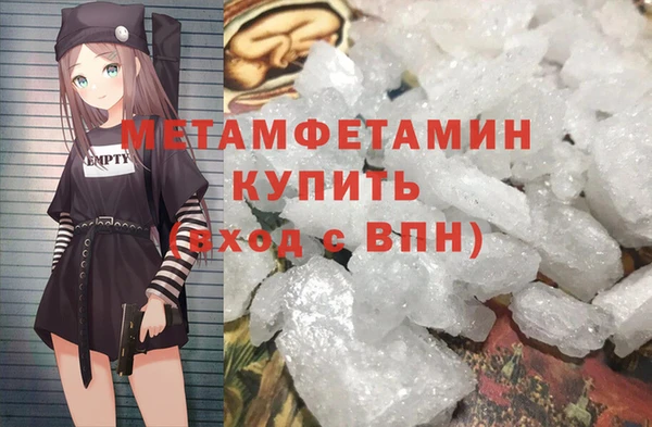 прущие грибы Медвежьегорск