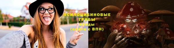 прущие грибы Медвежьегорск