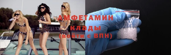 прущие грибы Медвежьегорск