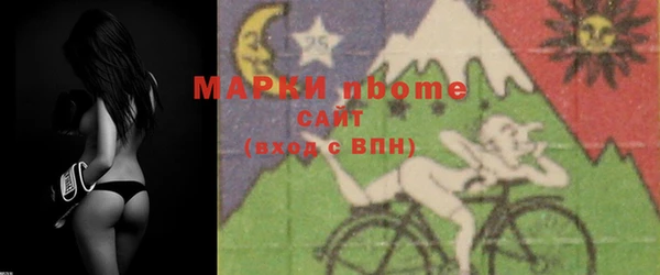 прущие грибы Медвежьегорск