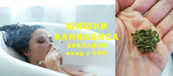 прущие грибы Медвежьегорск