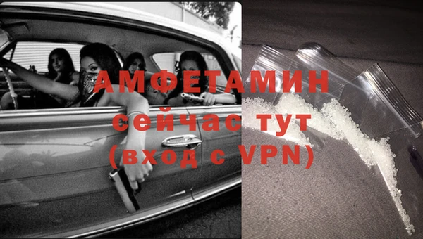 прущие грибы Медвежьегорск