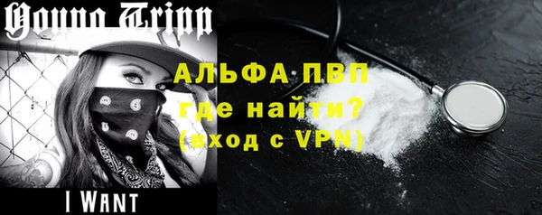 прущие грибы Медвежьегорск
