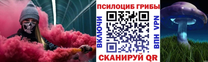 Псилоцибиновые грибы ЛСД  Купить закладки  Чердынь 